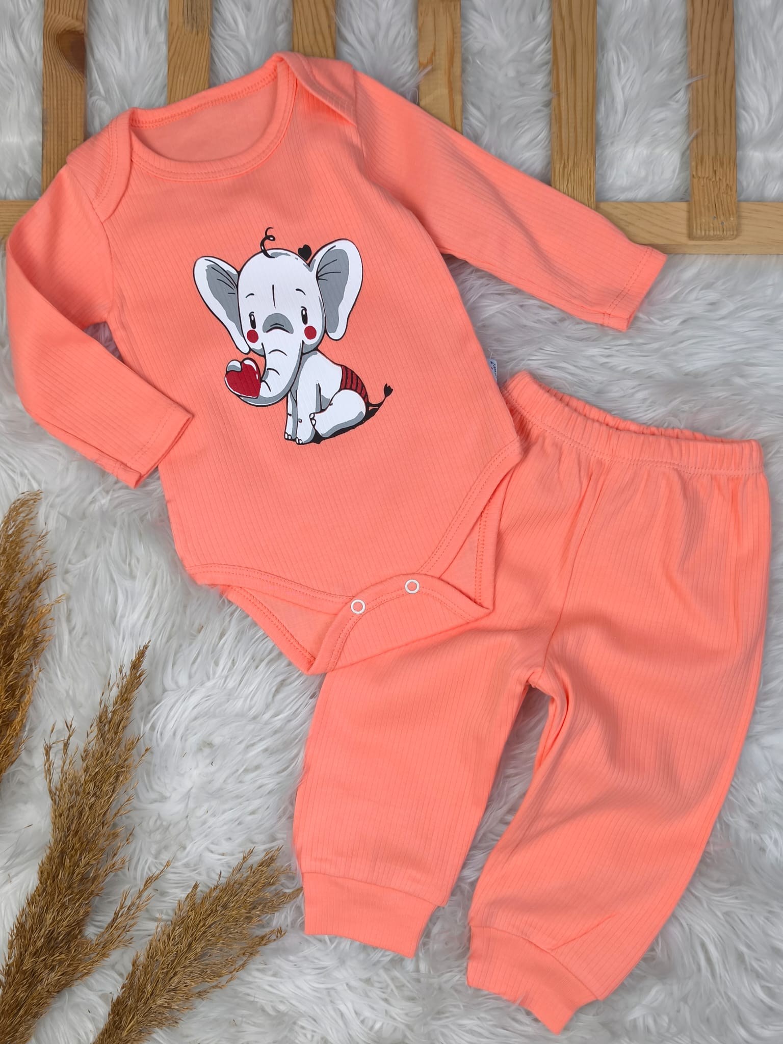 1882 FİL BASKILI RAPORLU KUMAŞ BADY'Lİ TAKIM  - Lila / 12-18 Ay